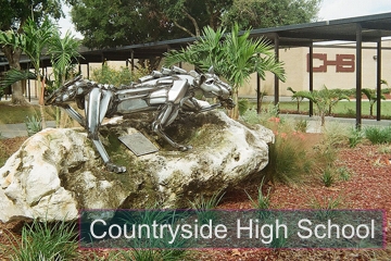 Countryside High School
